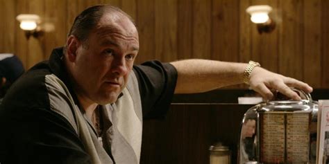 who killed tony soprano|ending of sopranos explained.